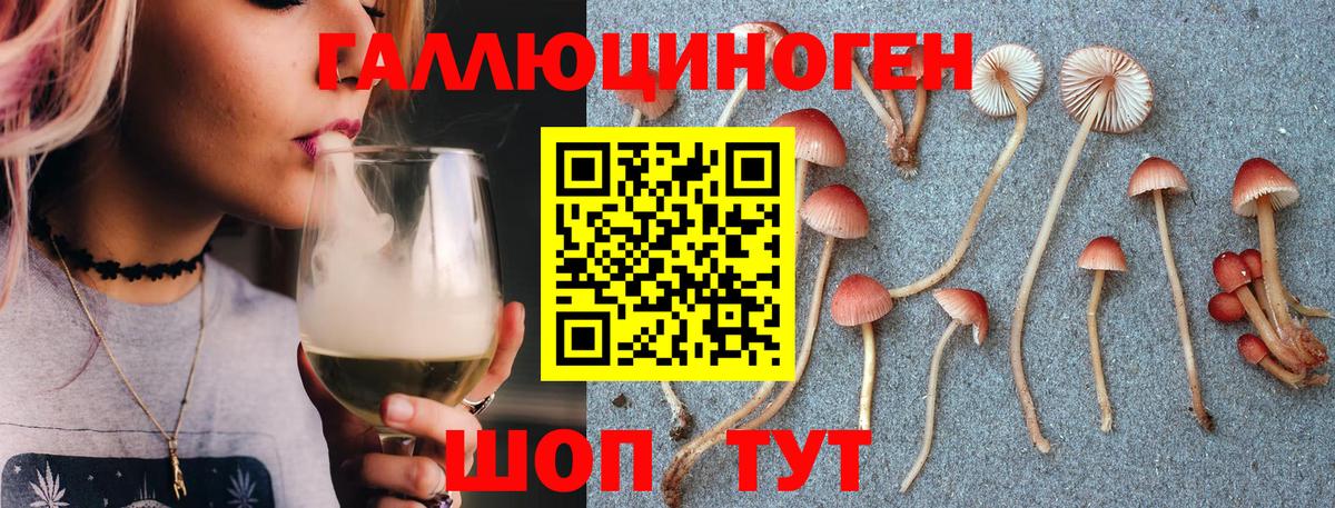 Галлюциногенные грибы прущие грибы  что такое наркотик  Нижневартовск  Вход с VPN  Псилоцибиновые грибы мицелий 