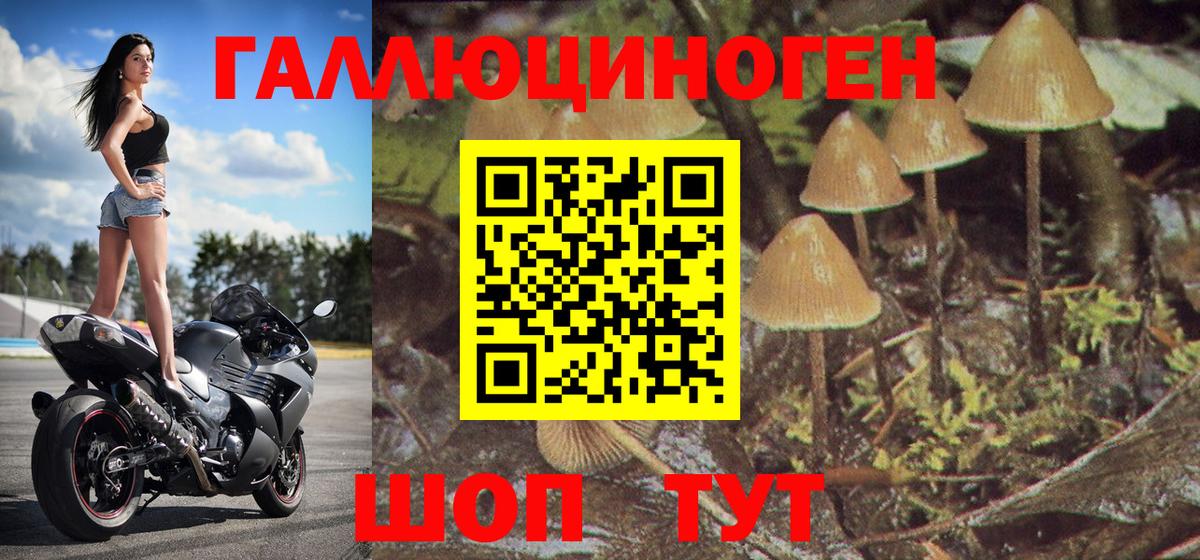 Галлюциногенные грибы Magic Shrooms Нижневартовск
